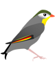 UdG
